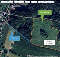 Heuwiese Grünland Wiese Pachtwiese - Detmold Hakedahl