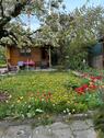 Foto - Gemeinsames Gartenglück im Schrebergarten