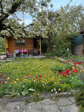 Foto - Gemeinsames Gartenglück im Schrebergarten