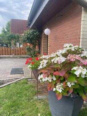 Foto - Einfamilienhaus zur Miete in Lützow