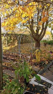 Foto - Grundst&uuml;ck in Samtens