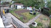 Foto - Wohnung 2.5 Zimmer zu Vermieten neu komplett renoviert Mit Garten