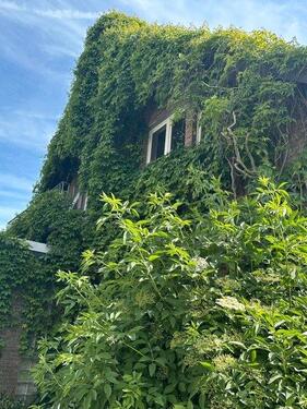Foto - Einfamilienhaus in Salzkotten zum Kaufen