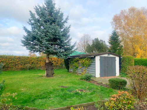 Foto - Einfamilienhaus in Dargun zum Kaufen