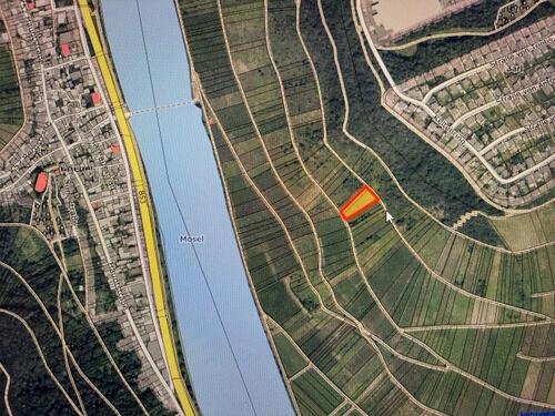 Foto - Weinberg „Briedeler Schäferlay“ Spätburgunder Steillage