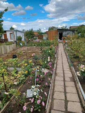 Foto - Kleingartensparte in Magdeburg Cracau