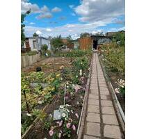 Kleingartensparte in Magdeburg Cracau - Sülzetal