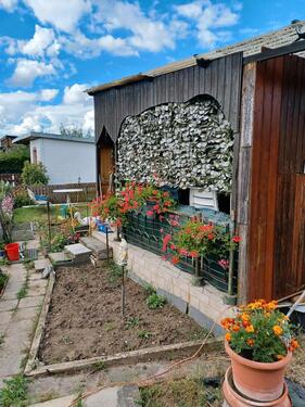 Foto - Grundst&uuml;ck zur Miete in Sülzetal