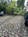 Foto - andere in Dresden