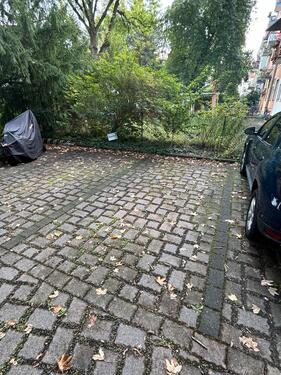 Foto - andere in Dresden