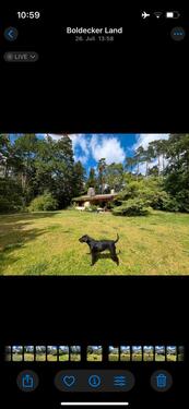 Foto - Waldhaus für Naturliebhaber - 1.794,00 EUR Kaltmiete,