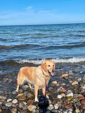 Foto - andere in Fehmarn zur Miete