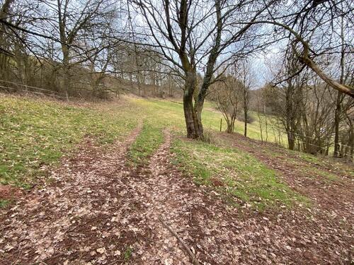 Foto - Landwirtschaftliche Grünfläche - 4.000,00&nbsp;EUR Kaltmiete, ca.&nbsp; 0,00&nbsp;m&sup2;