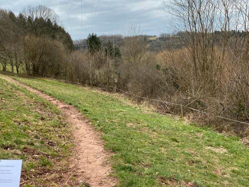 Foto - Grundst&uuml;ck in Bechhofen