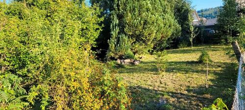 Foto - Grundstück in Oberaula