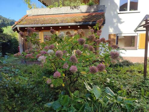 Foto - 4 Zimmer Etagenwohnung in Waldkirch