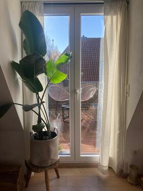 Foto - Helle ruhige Maisonette Wohnung 5ZKBB MauritzErpho