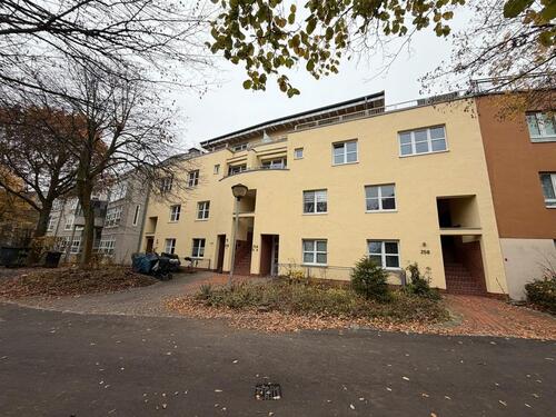 Foto - Schöne, renovierte 2 ZKB Wohnung in KS, direkt an der Dönche