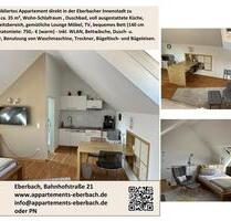 Ferienwohnung-Appartement - 750,00&nbsp;EUR Kaltmiete, ca.&nbsp; 35,00&nbsp;m&sup2; in Eberbach (PLZ: 69412)