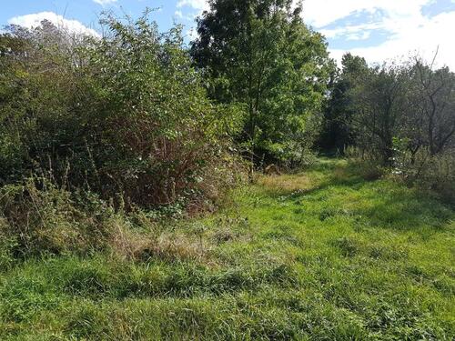 Foto - 3000 qm Grundstück in Prettin mit Baulandanteil