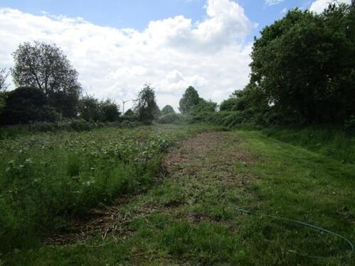 Foto - Auktion - Vertragsfreie Grünflächen hinter Wohnhäusern am Ortsrand von 06667 Stößen