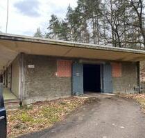 Lagerhalle mit aktivem Gleisanschluss und Laderampe in Liebenau zu vermieten I ca. 440 m²