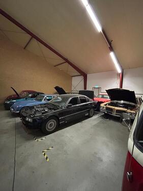 Foto - andere in Wees zur Miete