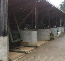 Parkplatz, Lagerbox, Carport, Winterstellplatz, Lagerplatz - Spiegelberg Parkplatz, Lagerbox, Carport, Winterstellplatz, Lagerplatz - Spiegelberg