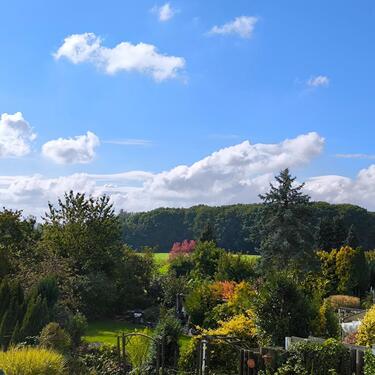 Foto - Sonnige 1-Zimmer-Wohnung mit Balkon in ruhiger Lage