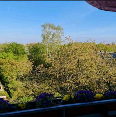 Foto - Etagenwohnung in Köln zur Miete