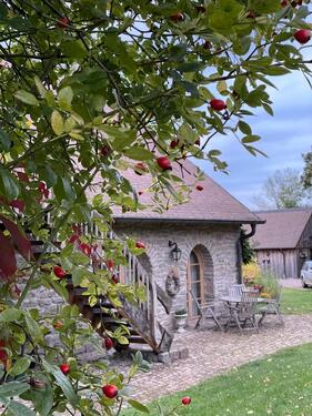 Foto - Einfamilienhaus in Bad Lauterberg im Harz zum Kaufen