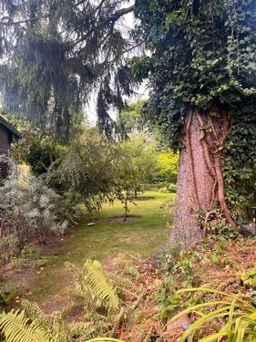 Foto - Bungalow in Berlin zum Kaufen