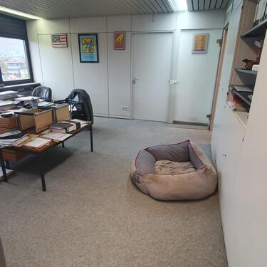 Foto - andere zur Miete in Aalen