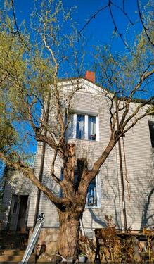 Foto - Einfamilienhaus in Leisnig