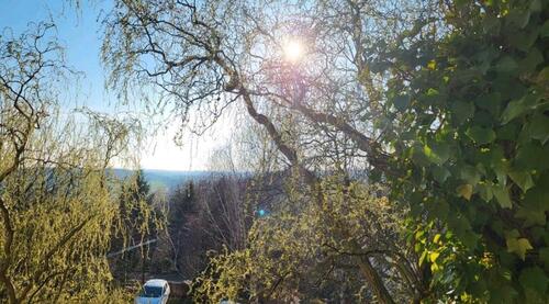 Foto - Einfamilienhaus in Leisnig zum Kaufen