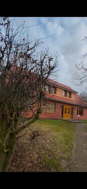 Foto - 1-Zimmer-Wohnung in Mechtersen – 34 m², Erdgeschoss, 560 € warm