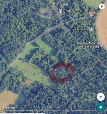 Foto - Freizeitgrundstück am Hetzles. Verwildert