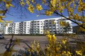 Foto - Etagenwohnung zur Miete in Dessau-Roßlau