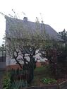 Foto - Einfamilienhaus - 260.000,00 EUR Kaufpreis,
