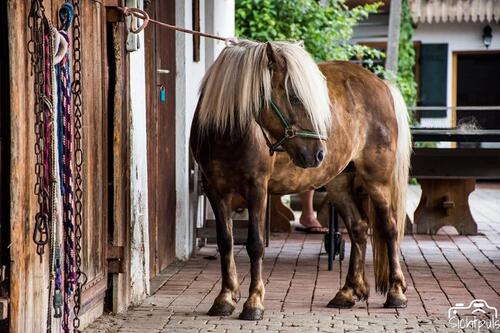 Foto - andere zur Miete in Kochel am See