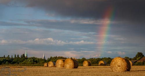 Foto - 3 ZW inkl. Balkon, neu saniert mit Aufzug in Kamen