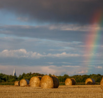 3 ZW inkl. Balkon, neu saniert mit Aufzug in Kamen