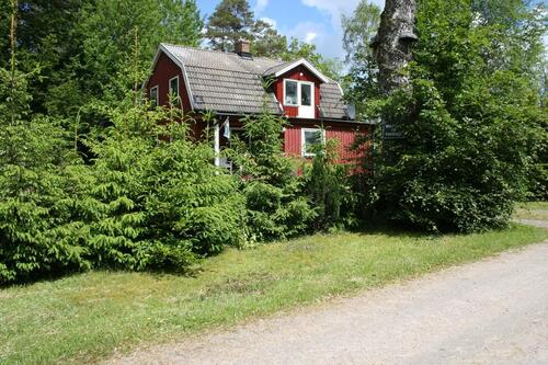 Foto - andere in Winsen (Aller)