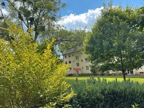 Foto - 3 Zimmer Erdgeschoßwohnung zur Miete in Bonn