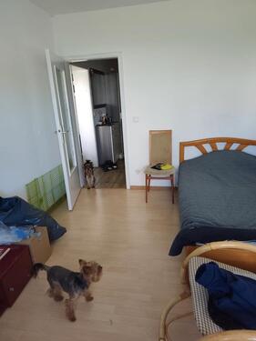 Foto - 