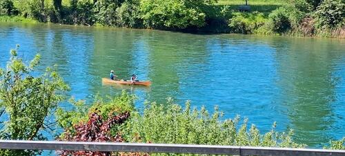 Foto - andere in Waldshut-Tiengen