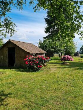 Foto - 3 Zimmer- Mietwohnung -Rehburg-Loccum