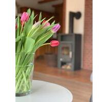 Ferienwohnung Nordsee Sankt Peter-Ording - Garding