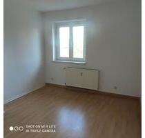 Renovierte 3 ZKB in Mücheln - 320,00&nbsp;EUR Kaltmiete, ca.&nbsp; 56,00&nbsp;m&sup2; in Mücheln (Geiseltal) (PLZ: 06249)