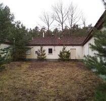 HAUS im WALD PENSION SCHULUNGSZENTRUM TIERHEIM ALLEINLAGE - Forst (Lausitz)